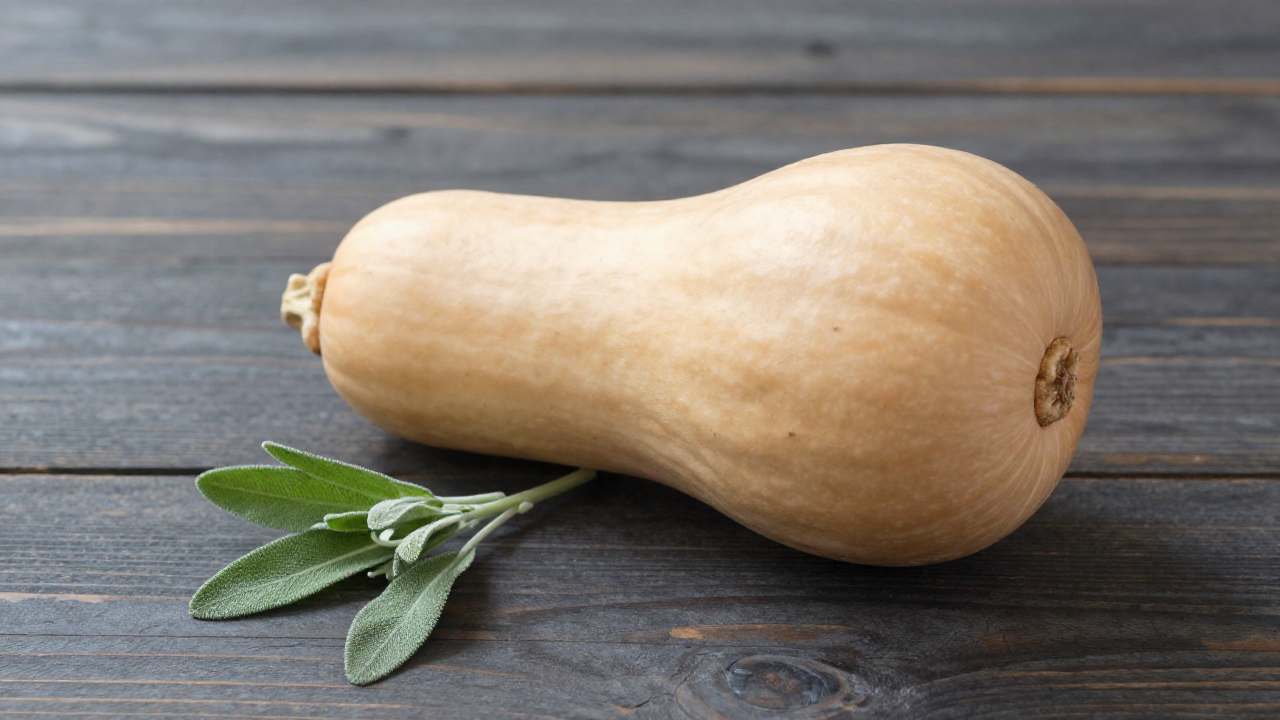 Ein ganzer Butternut-Kürbis auf Holz; Inspiration für Kürbis Butternut Rezepte.